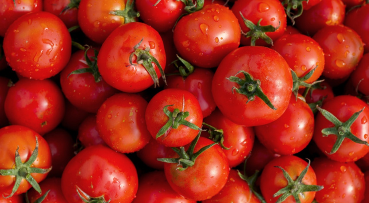 EE.UU. impone aranceles al jitomate mexicano