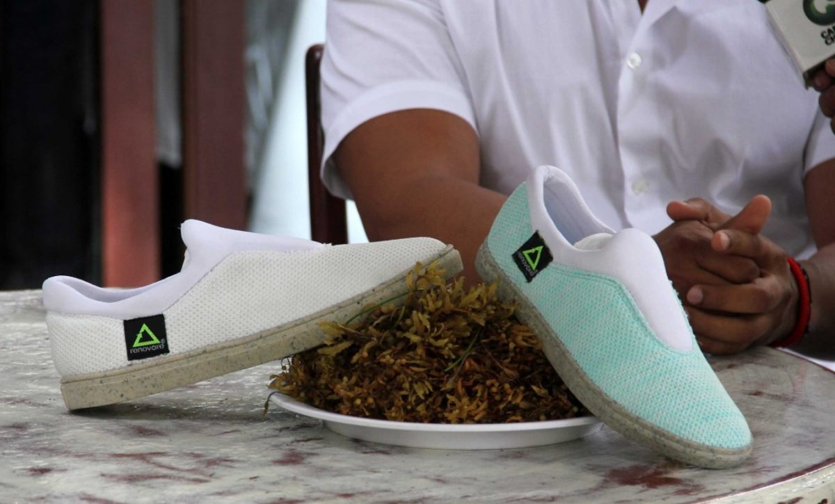 Emprendedores mexicanos aprovechan el sargazo: crean tenis, libretas y casas