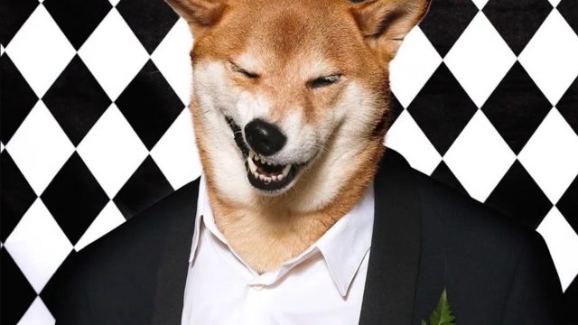 La lista de los perro más ricos del mundo