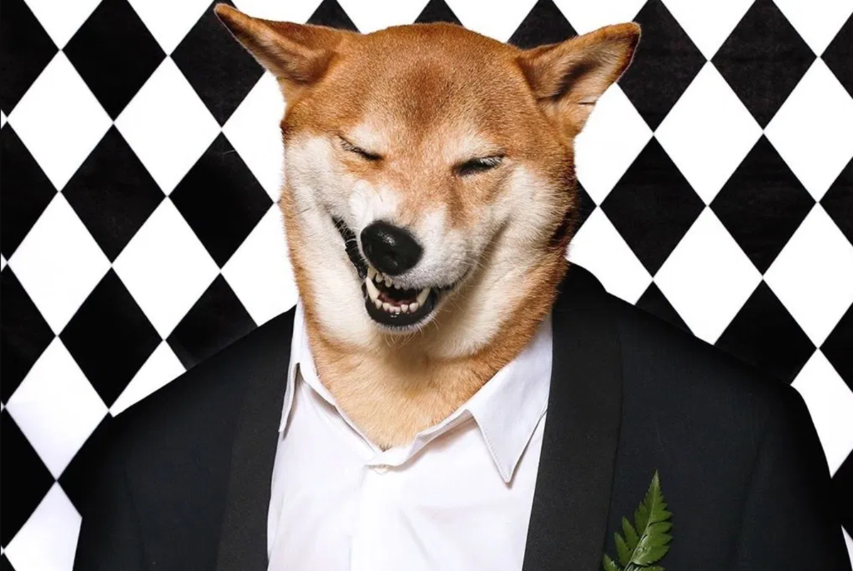 Te presentamos a los cinco perros más ricos del mundo