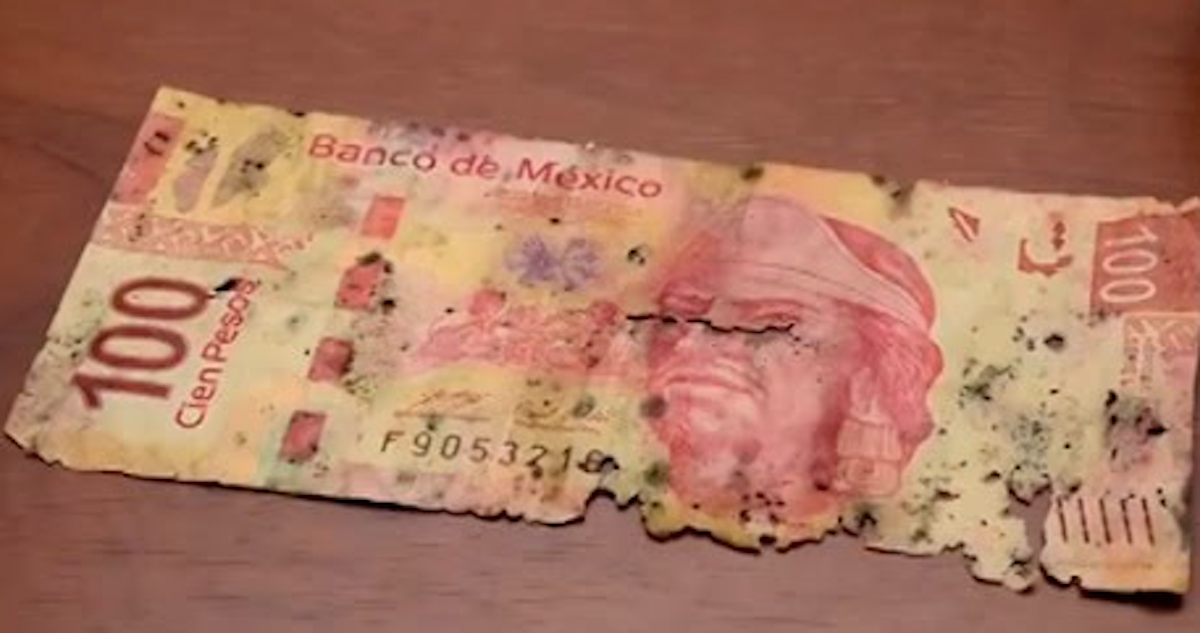 Los billetes maltratados sí pierden su valor: Banxico