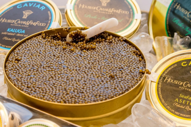 Caviar de beluga albina