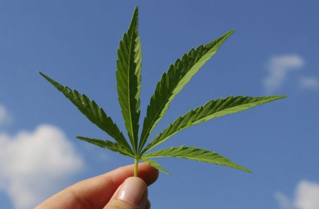 Mariguana