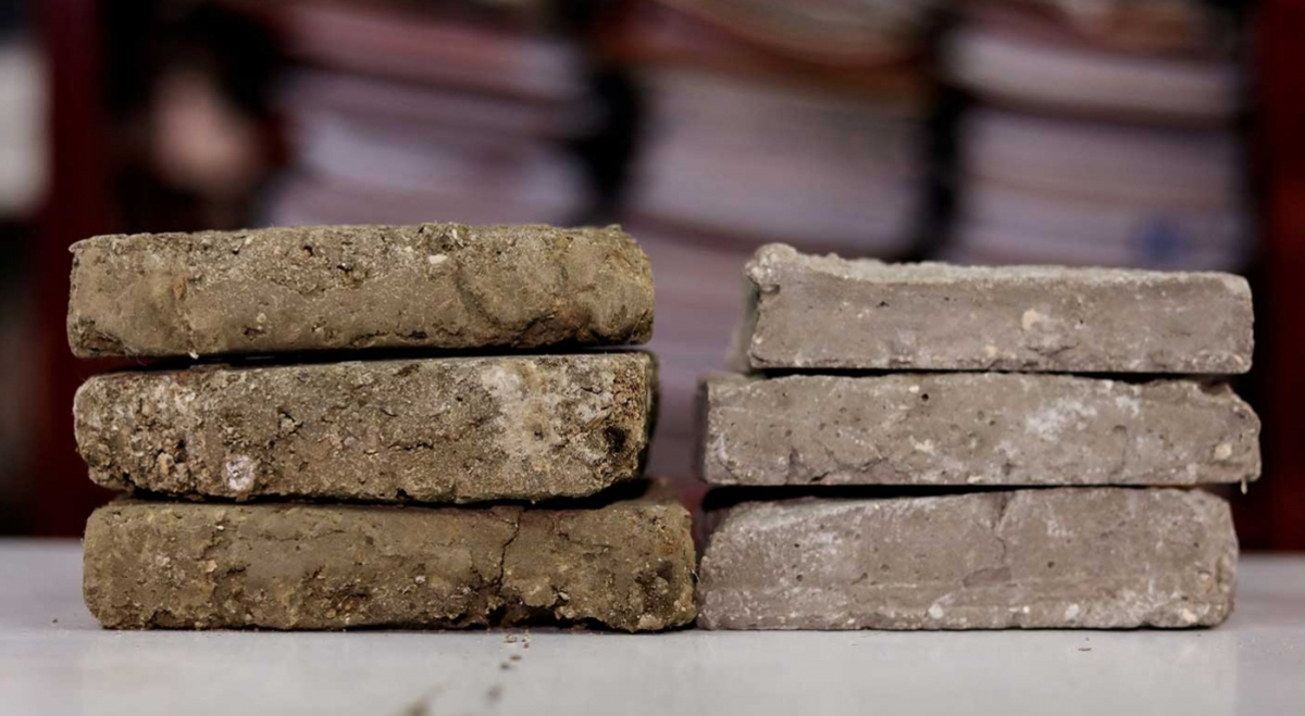 Convierten heces de perros callejeros en “bioladrillos”