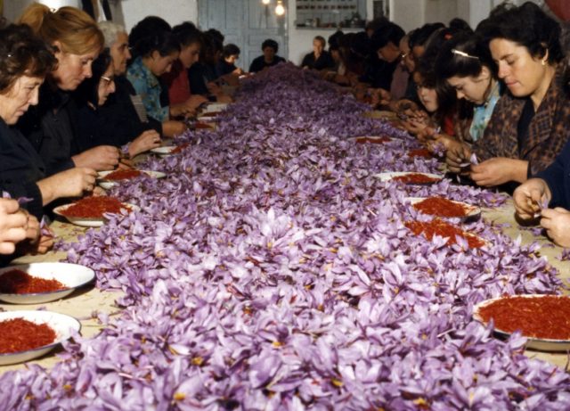 Imagen: Mujeres trabajan con el “oro rojo”, 25 de noviembre de 2019 (Imagen: Especial)