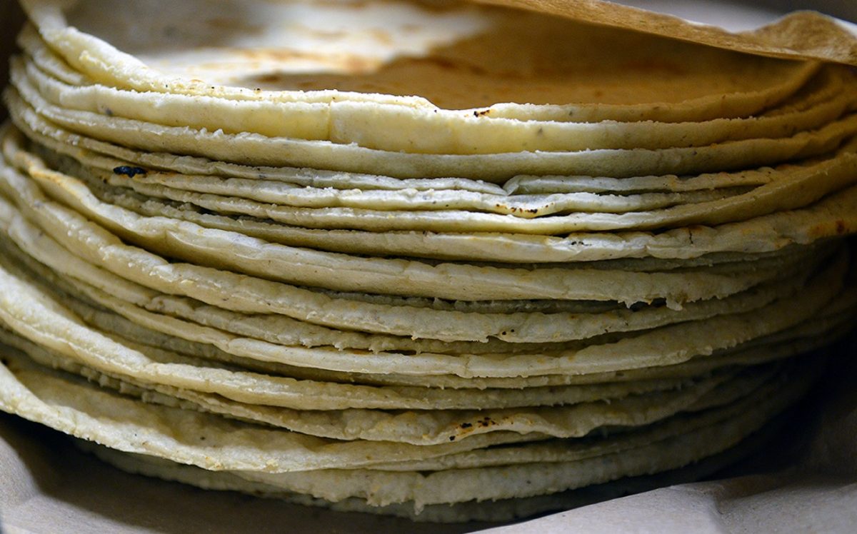 Ley contra maíz híbrido encarecería hasta 60 pesos el kilo de tortilla
