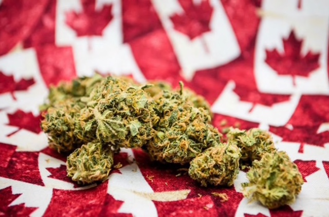 5 de enero de 2020, banderas de Canadá (Imagen: Especial)