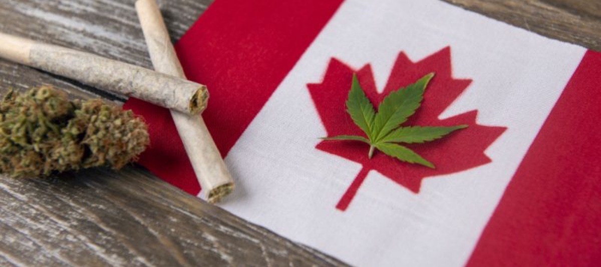 ¿Venta de marihuana legal en Canadá es el negocio esperado?
