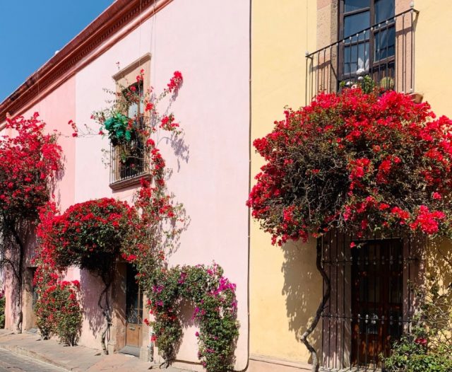 24 de febrero de 2020, arquitectura en Querétaro (Imagen: Twitter @santiago_savi)
