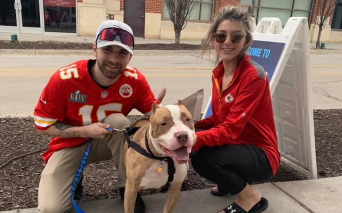 Ganador del Super Bowl paga adopción de todo un refugio de animales
