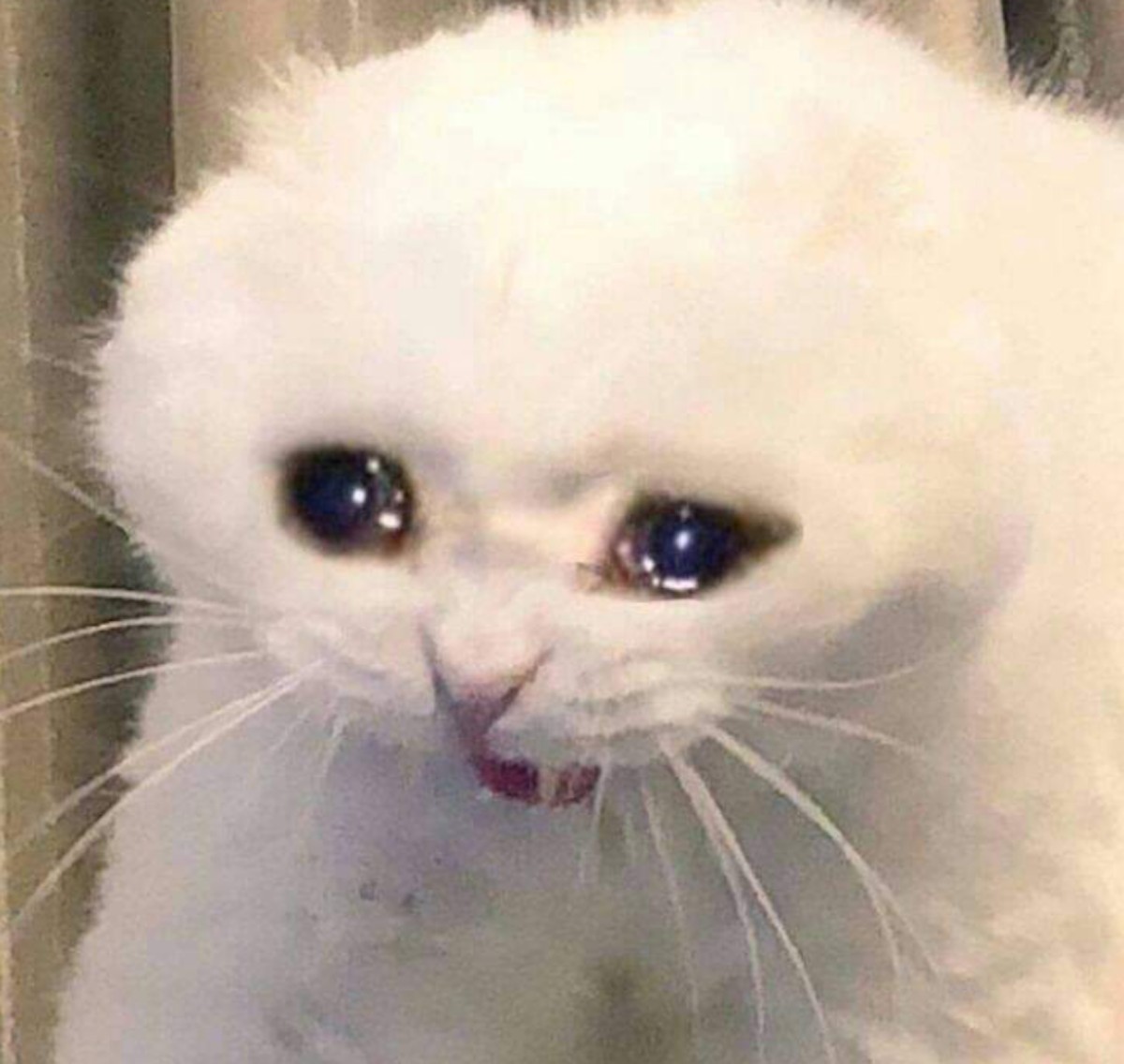 Esto implicaría decirle ‘adiós’ al Osito Bimbo, a Chester Cheetos y al Tigre Toño