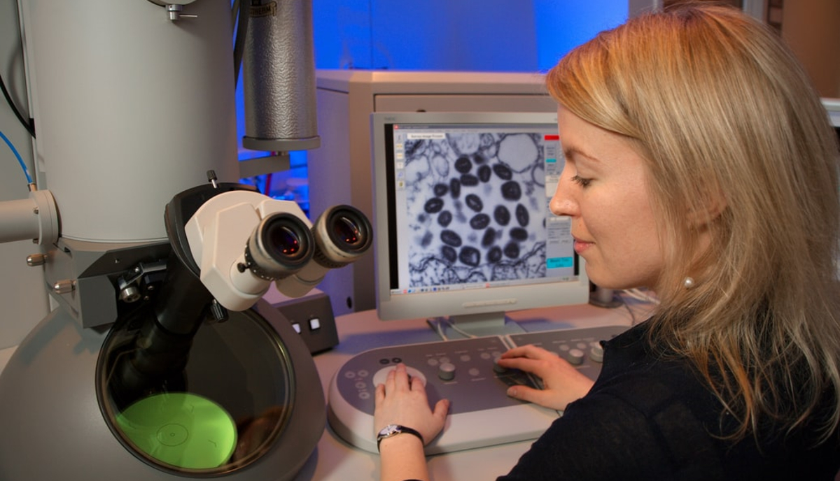 Epidemiología en México, Epidemiología, Escuela, Estudios