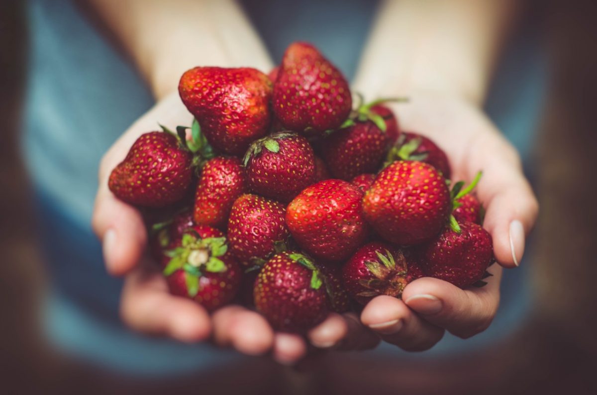 ¿Cómo se desinfectan las fresas de forma fácil?