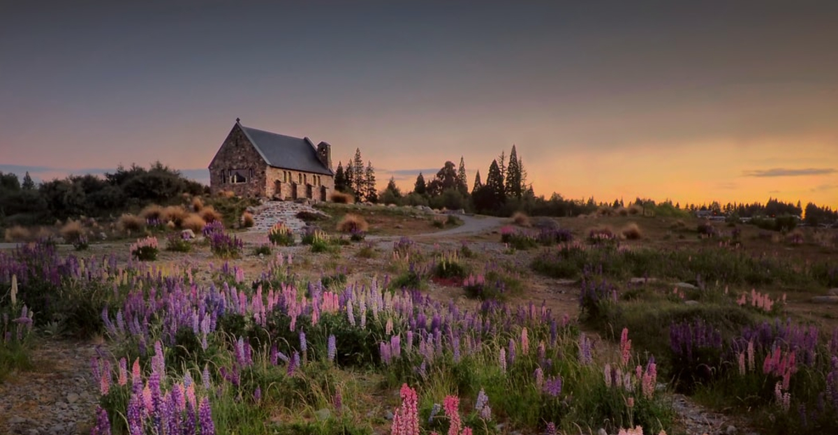 ¿Te gustaría trabajar en Nueva Zelanda? Te decimos cómo conseguir empleo