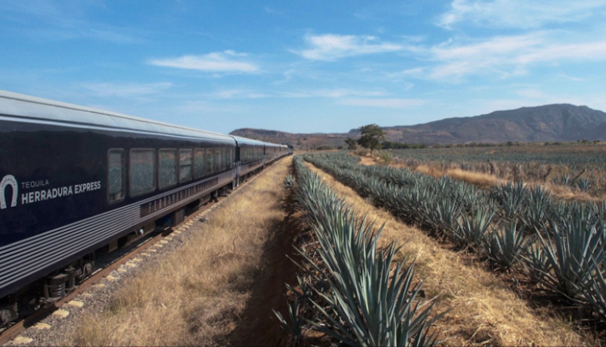 Tequila Herradura Express (Imagen: Twitter @EgresadosyEXUDG)