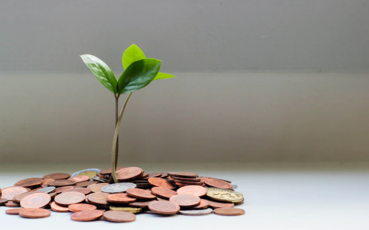 Ventajas y desventajas de invertir en Cetes, Bonos y Udis