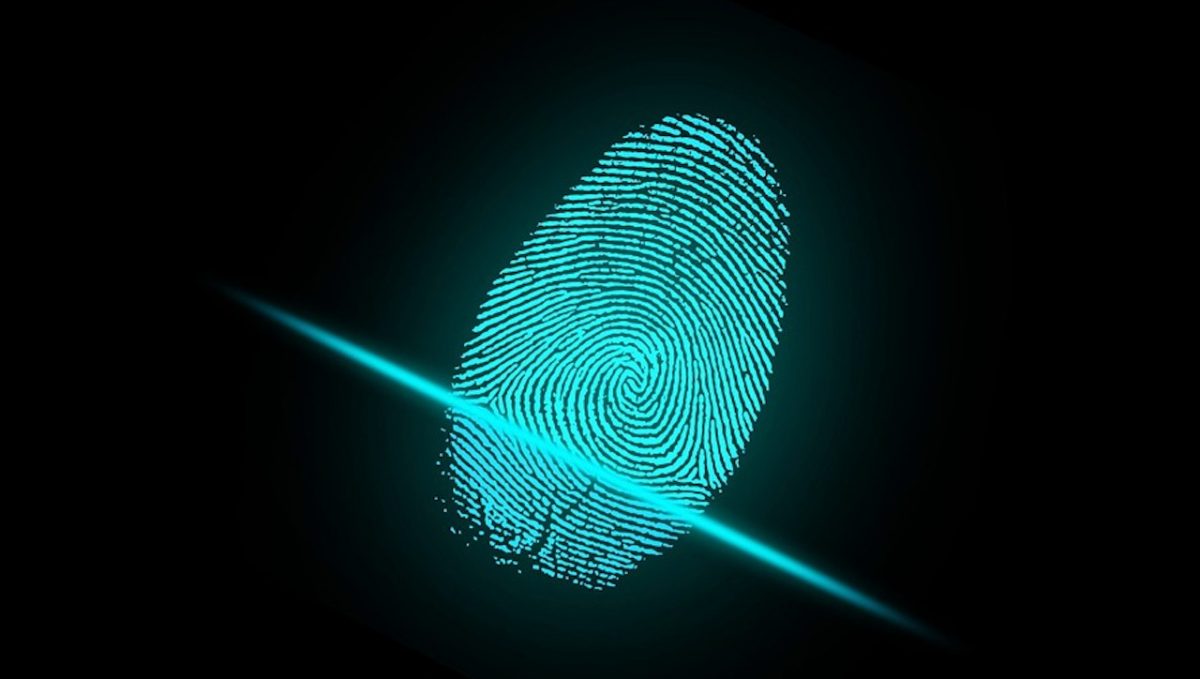 Así puedes evitar el robo de tu identidad fiscal