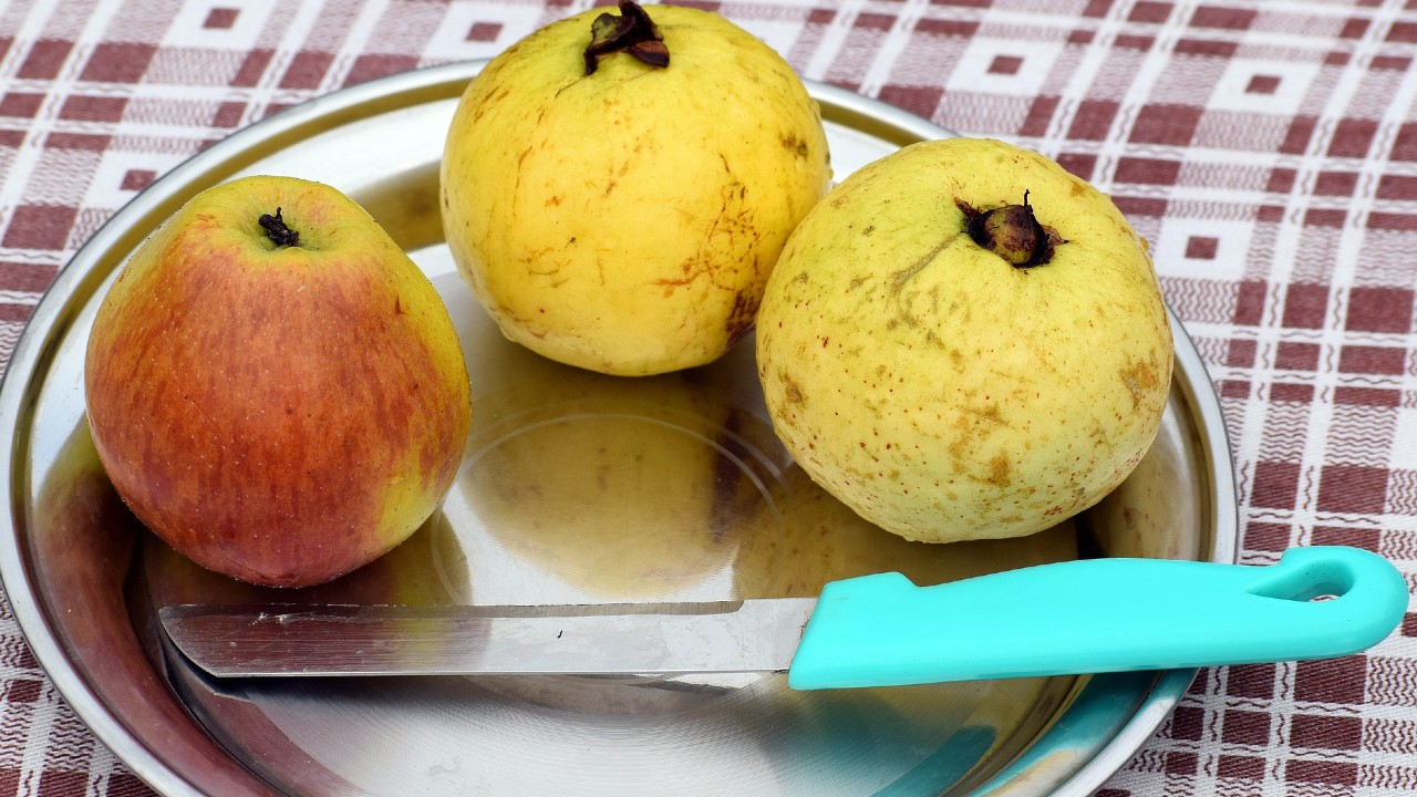 Guayaba: El alimento más barato que te ayudará a fortalecer tu sistema inmunológico