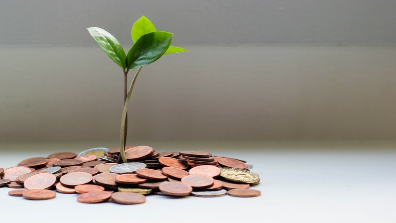 ¿Qué son las inversiones verdes y sostenibles?