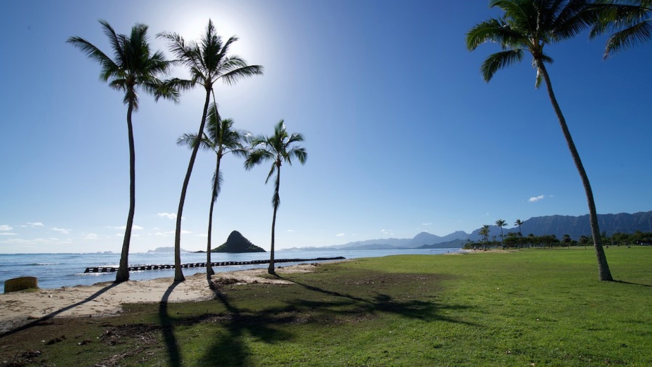 ¿Quieres realizar trabajo remoto desde la playa? Hawái te espera
