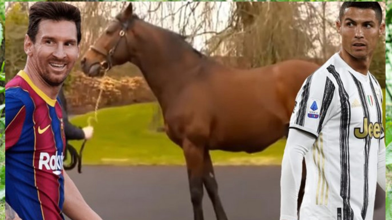 “Galileo”, el caballo semental que vale más que Messi y CR7