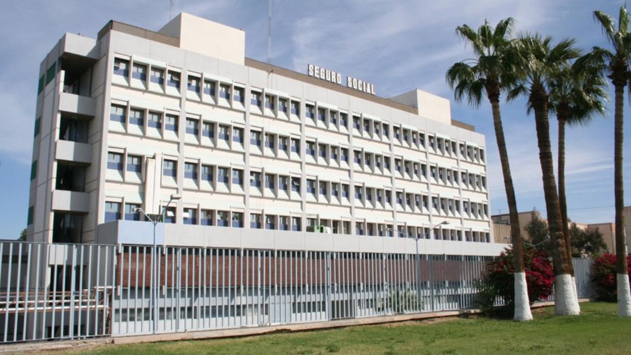 Así recuperas semanas cotizadas en el IMSS por inconsistencias