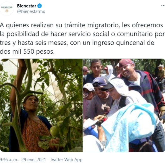Así anunció la Secretaría del Bienestar el apoyo a migrantes en México