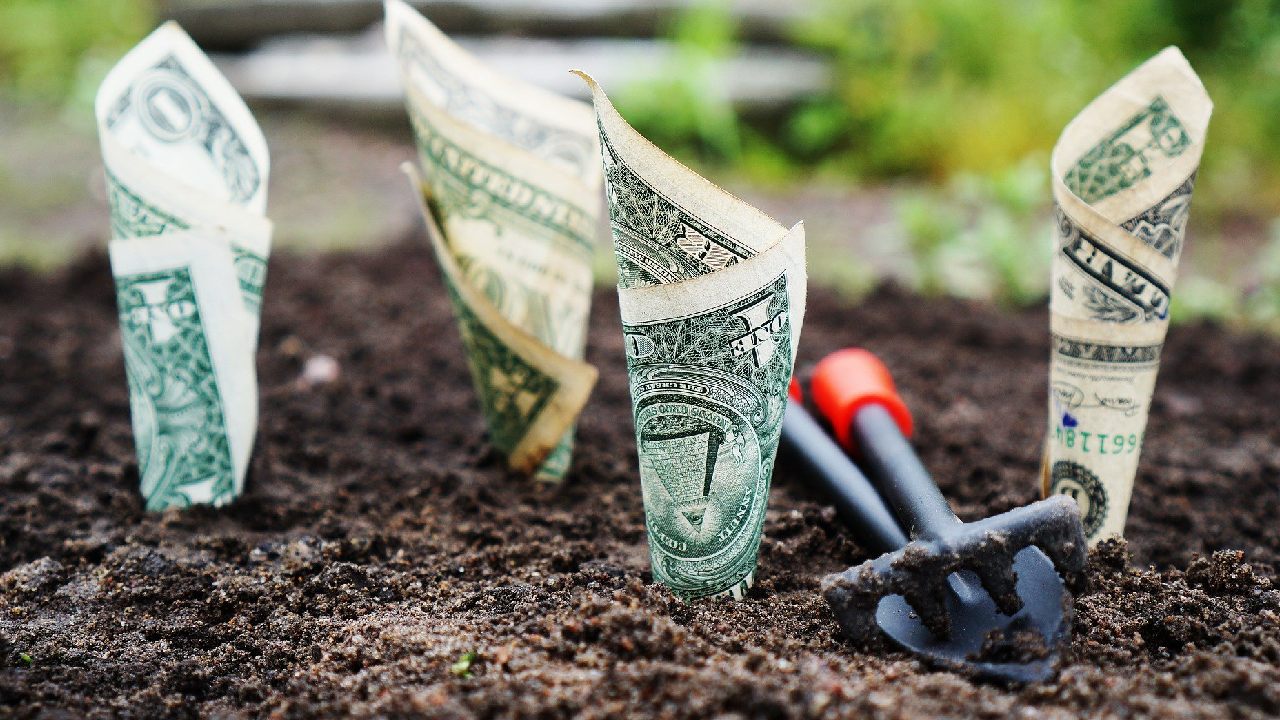 El precio del dólar hoy 23 de enero de 2021 en México