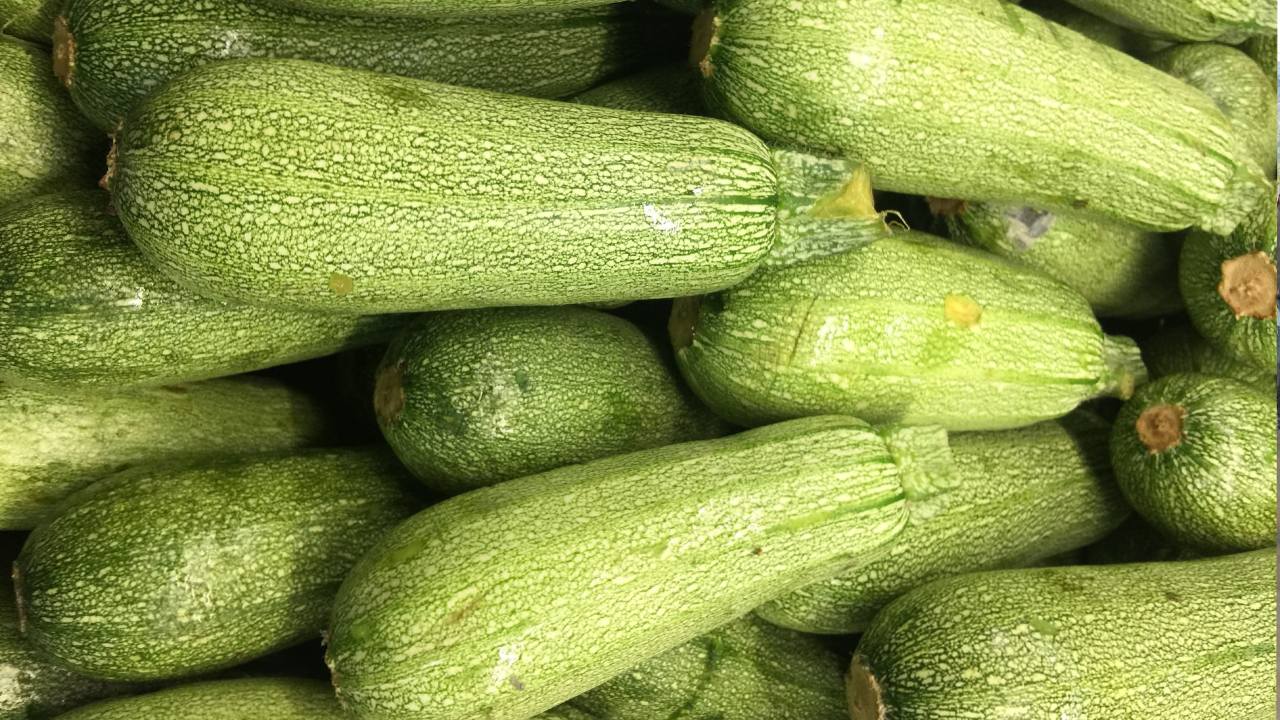 Profeco: Calabacita, alimento que encontrarás más barato esta temporada