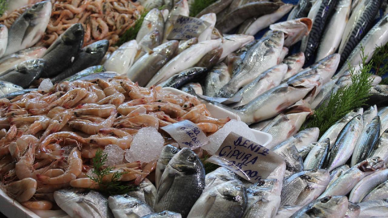Profeco: Para la Cuaresma 2021 estos son los precios de pescados y mariscos
