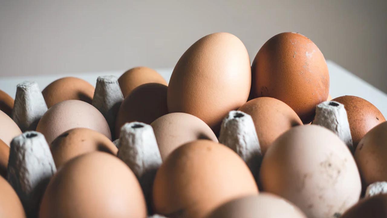 Usuarios reportan un aumento en el precio del huevo, esto dice la Profeco