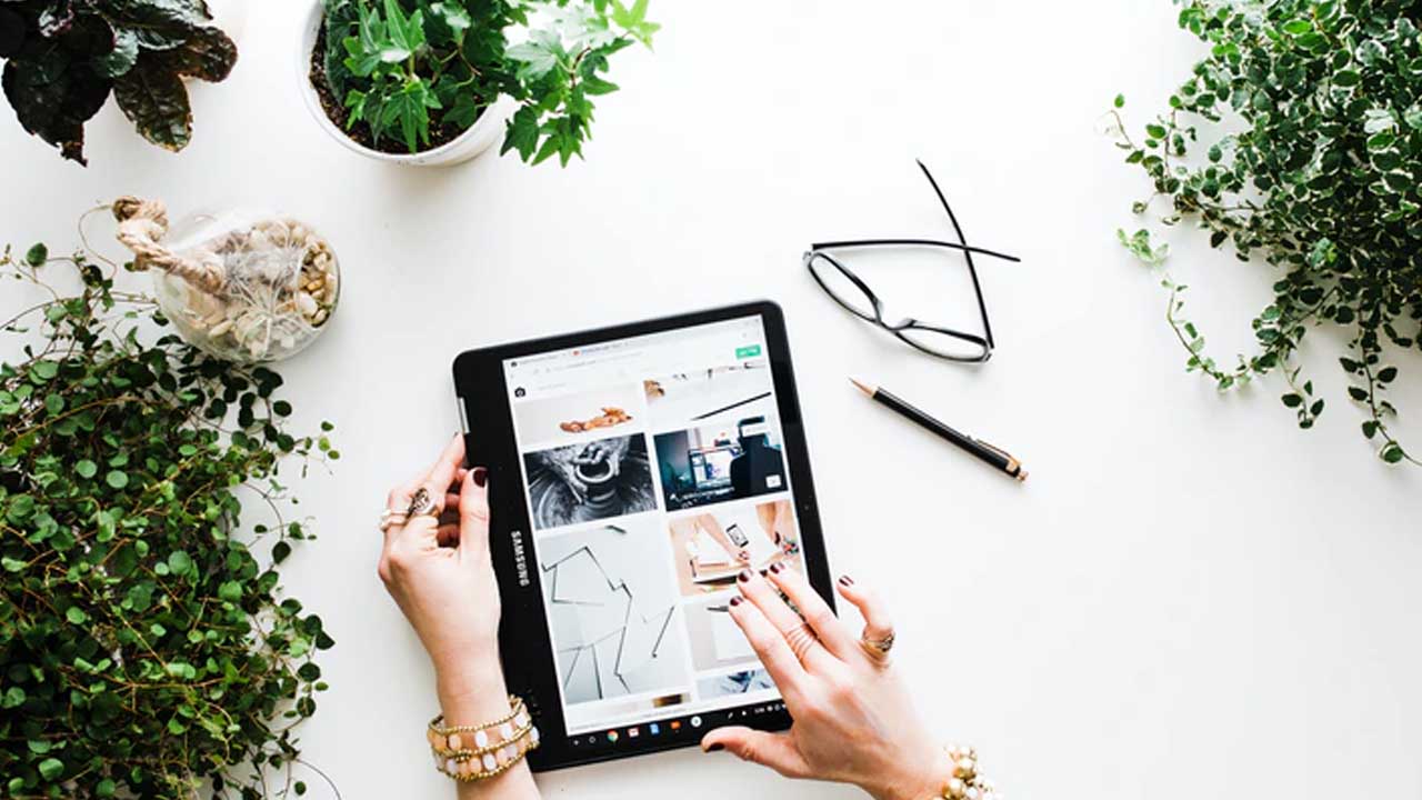 Venta en línea PROFECO