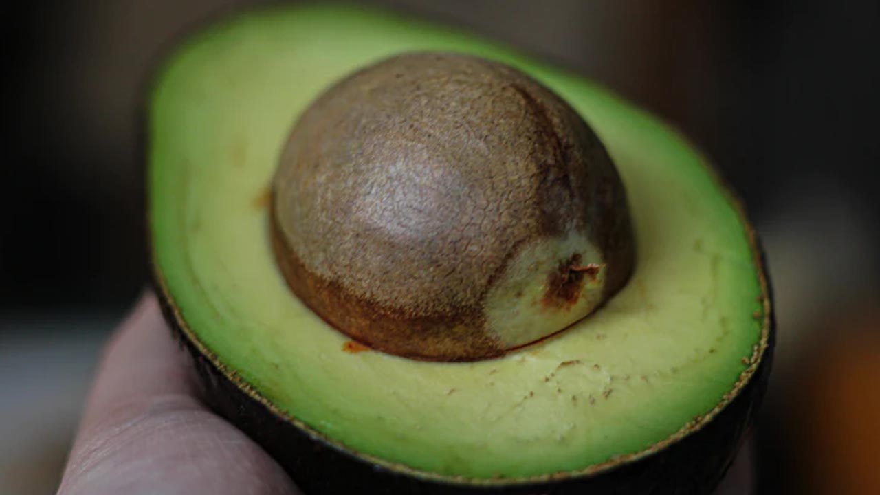 Sube precio de aguacate y limón hasta $80 pesos por kilo: Profeco