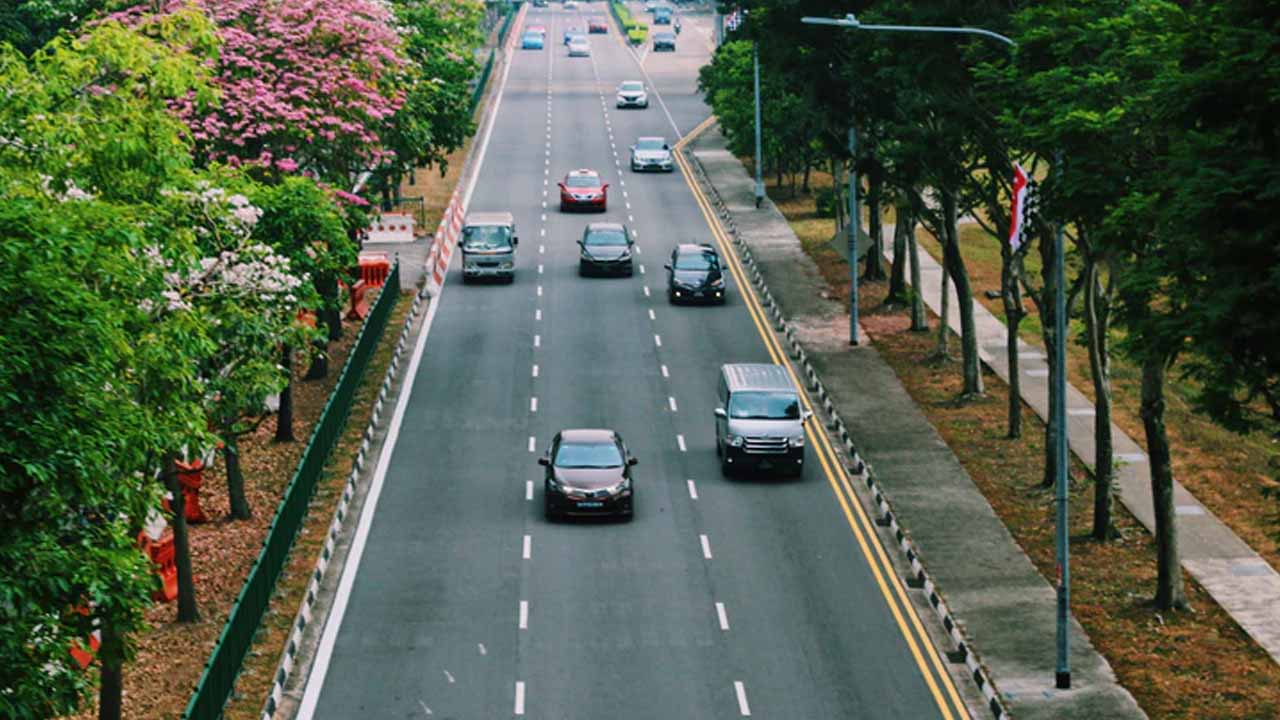 Verificación de mes de mayo