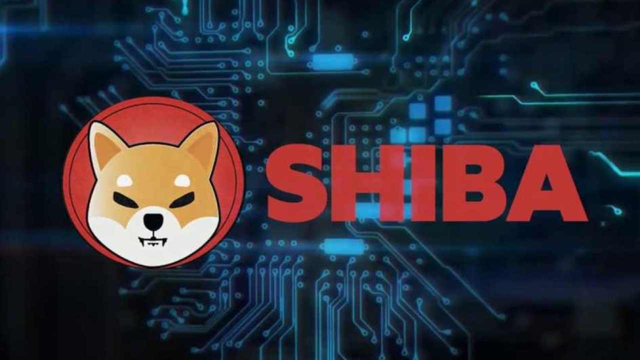 ¿Qué es Shiba Inu, la criptomoneda rival de Dogecoin?