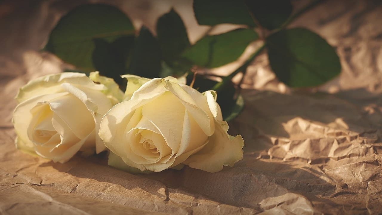 Requisitos para solicitar la Beca de Orfandad 2021