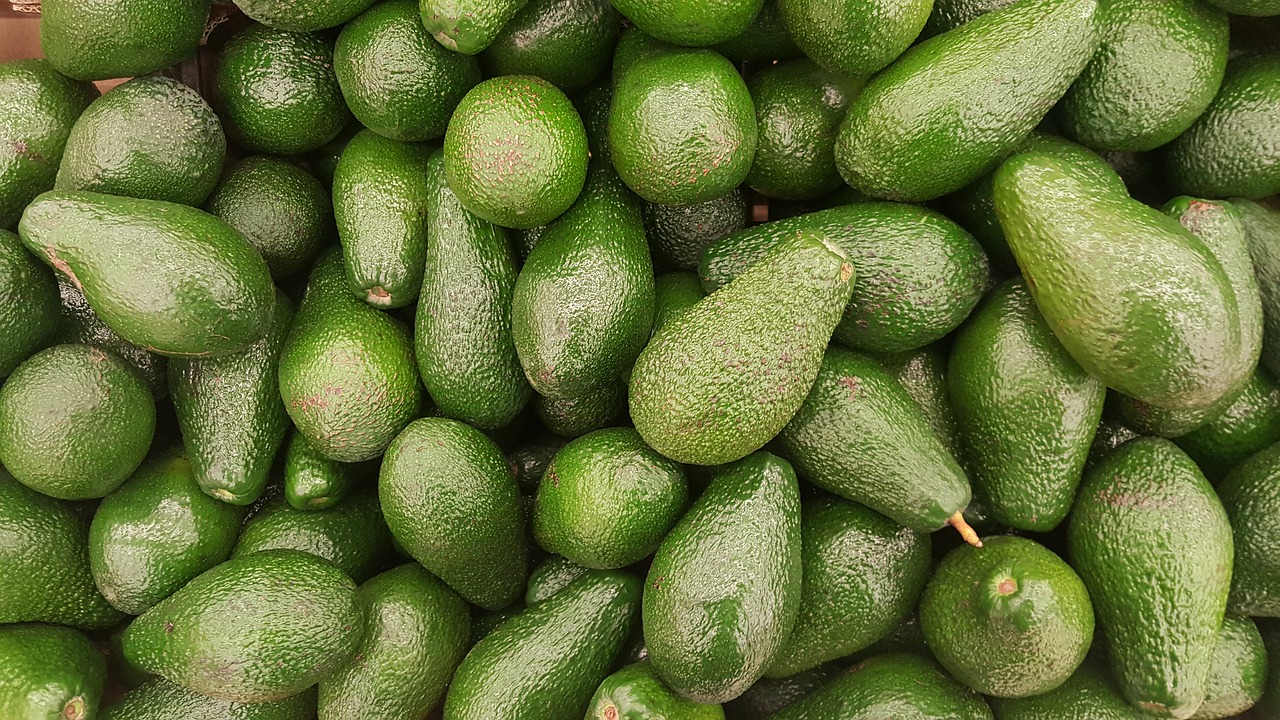 OCDE: Aguacate mexicano será la fruta tropical más vendida del mundo en 2030