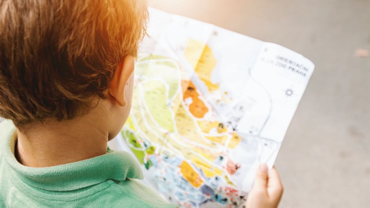 Cursos de verano gratuitos