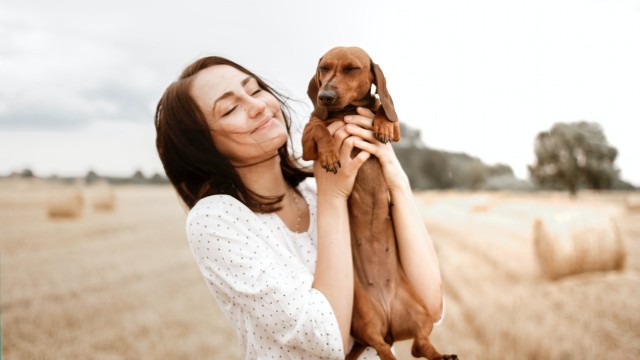 seguro para mascotas cuánto cuesta qué cubre