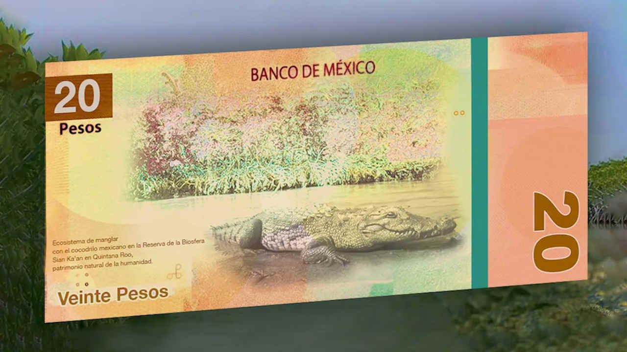 ¿Podré vender en miles de pesos mi nuevo billete de veinte pesos?