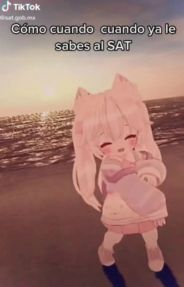 El contenido "otaku" del SAT y el INE en TikTok llamaron la atención de miles de usuarios de la plataforma