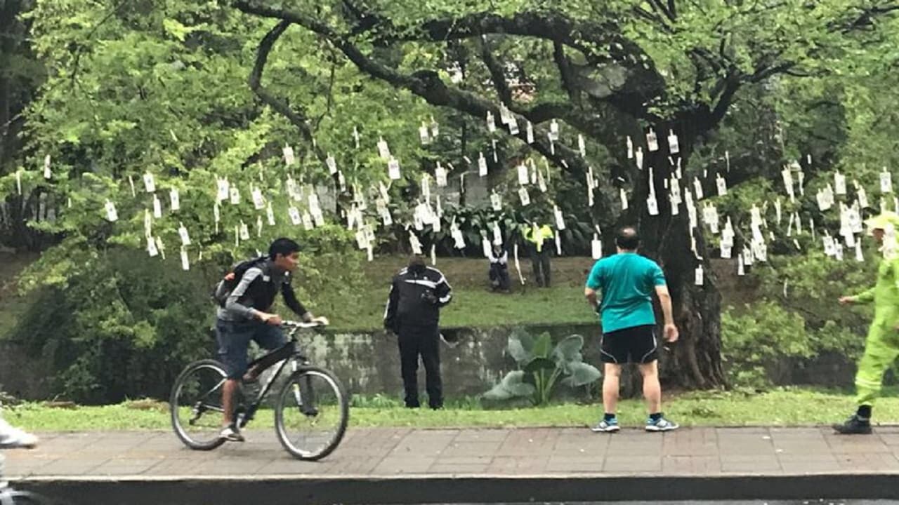 Aparece “árbol de billetes” con un importante mensaje a un lado