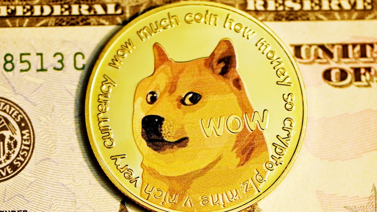 ¿Sabes lo que es un Dogecoin?, te explicamos todos los detalles