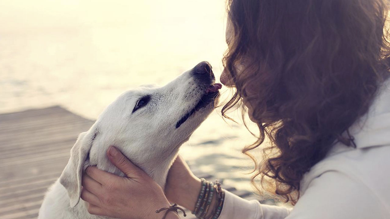 ¿Es legal heredar mi dinero y propiedades a mis mascotas?