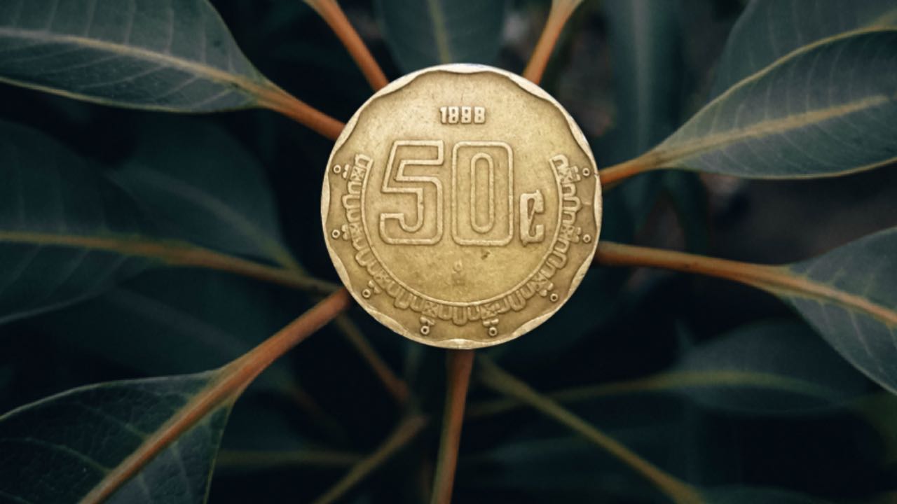 ¿Es verdad que las monedas de 50 centavos de ‘1893’ valen miles de pesos?