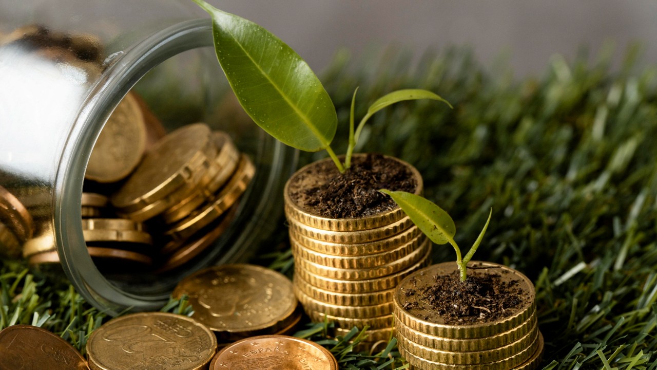 Ahorra 6 mil pesos en lo que queda del año, sólo sigue estos pasos