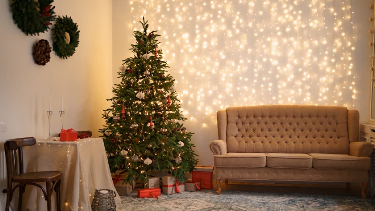 ¿Te imaginas que te paguen por ver películas navideñas?, esto es posible