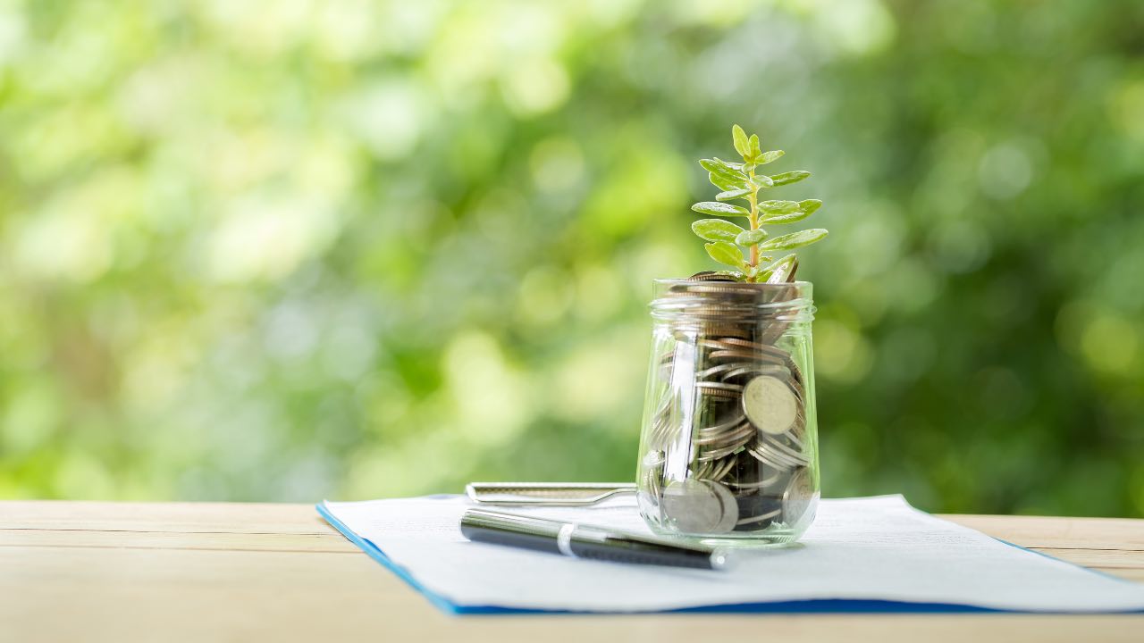 Qué es el “ahorro hormiga” y cuáles son sus beneficios