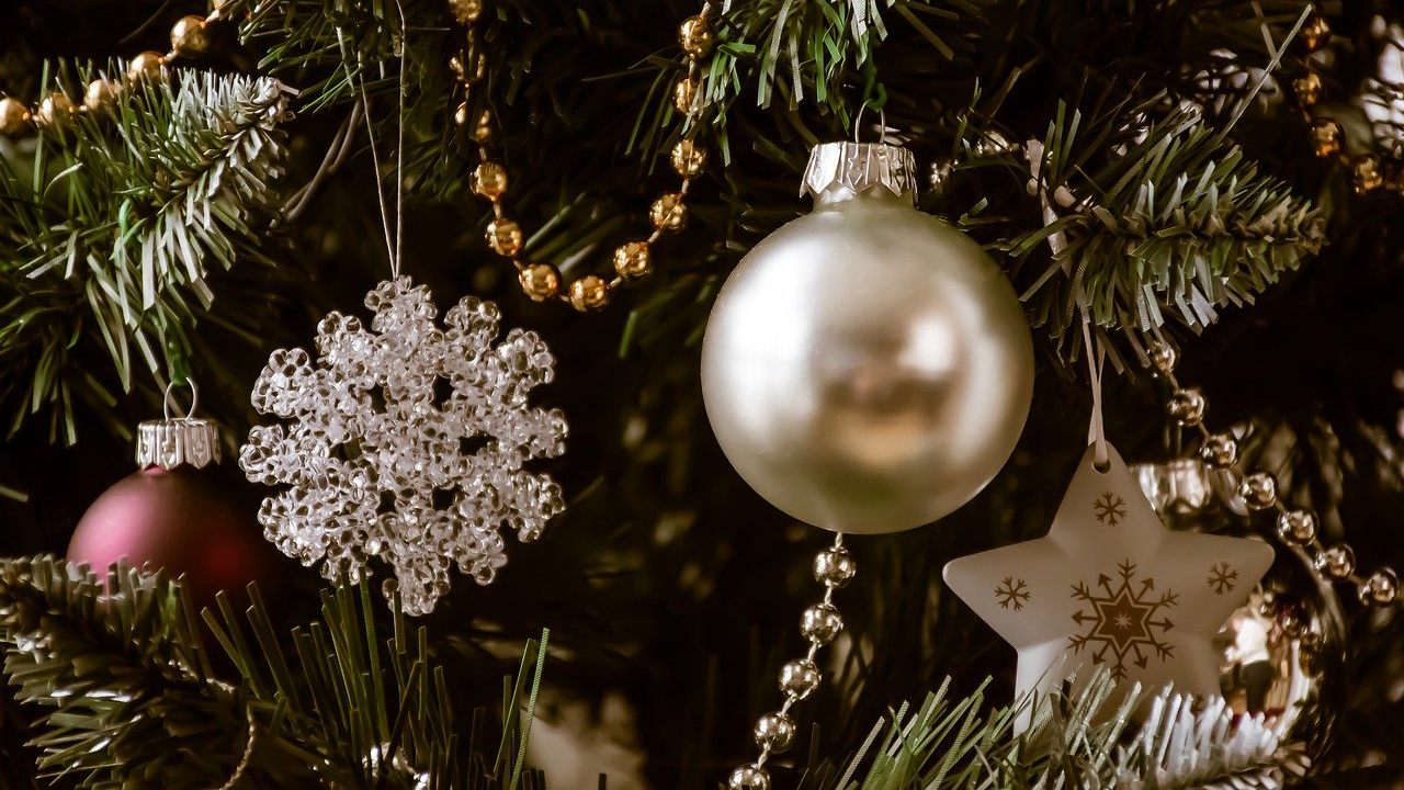 ¿Aún no sabes si comprar un árbol de Navidad artificial o natural?, aquí te guiamos. 