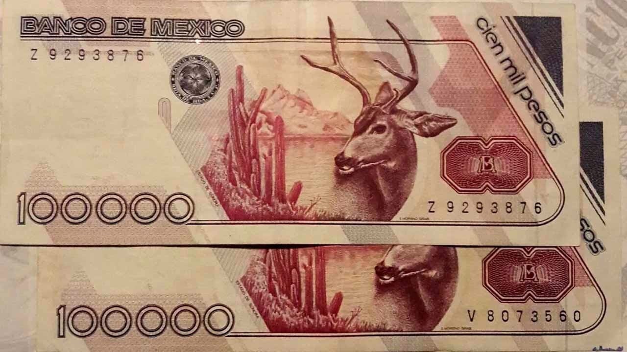 Conoce el precio actual del “venado”, el billete de 100 mil pesos